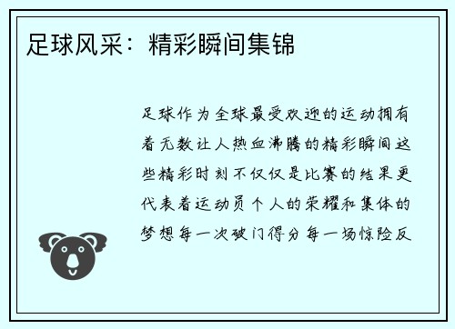 足球风采：精彩瞬间集锦