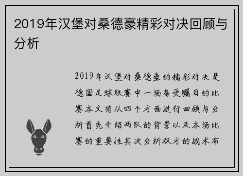2019年汉堡对桑德豪精彩对决回顾与分析