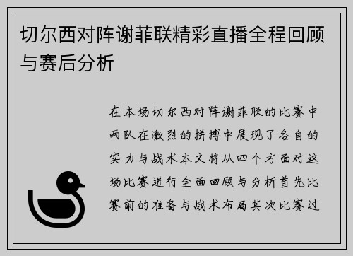 切尔西对阵谢菲联精彩直播全程回顾与赛后分析