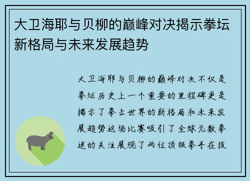 大卫海耶与贝柳的巅峰对决揭示拳坛新格局与未来发展趋势