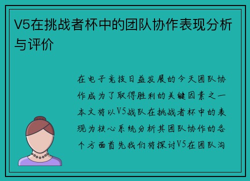 V5在挑战者杯中的团队协作表现分析与评价